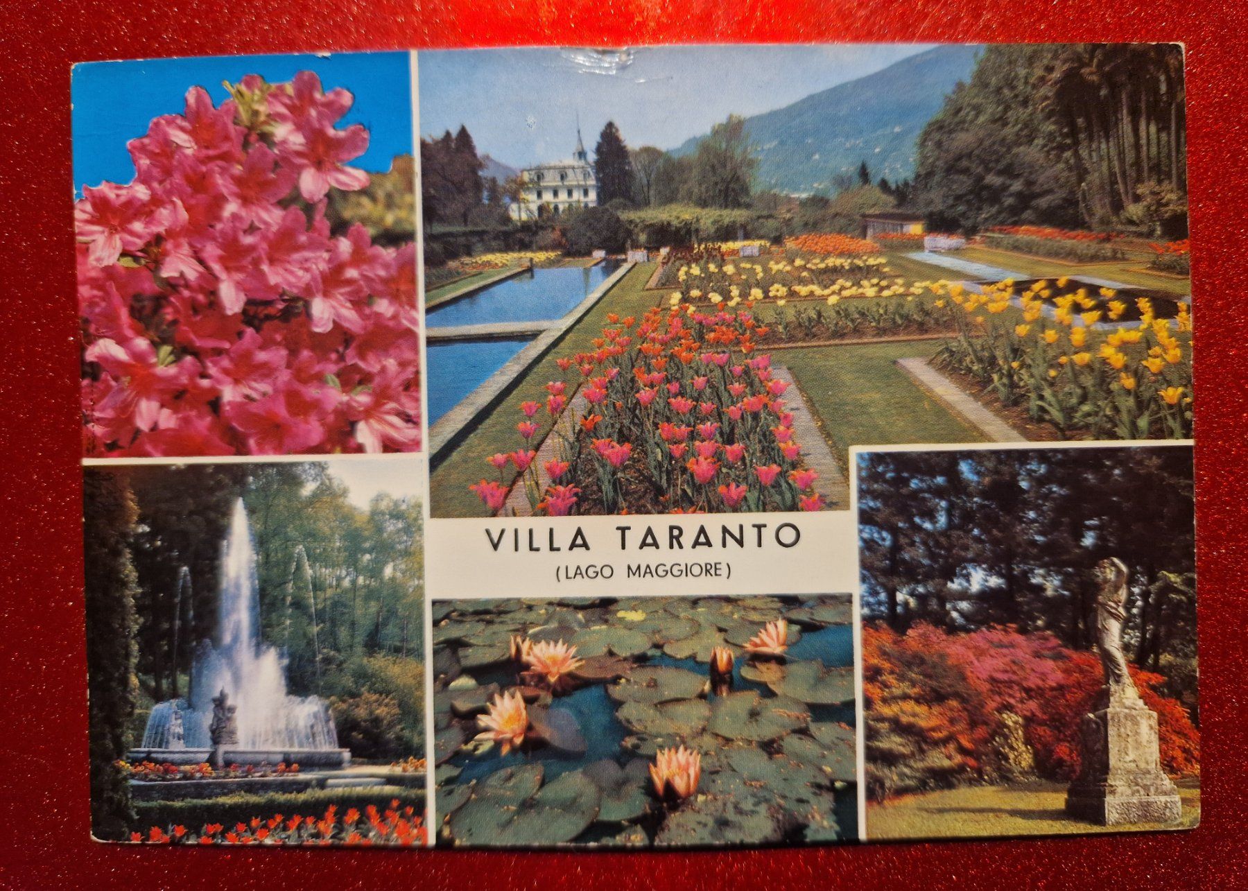 Cartes postales: Villa Taranto, Lago Maggiore 1977 – D'occasion à Melchnau par Fishel