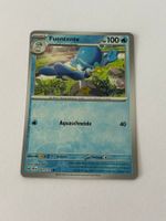 Pokemon-Karte Fuentente 051/191