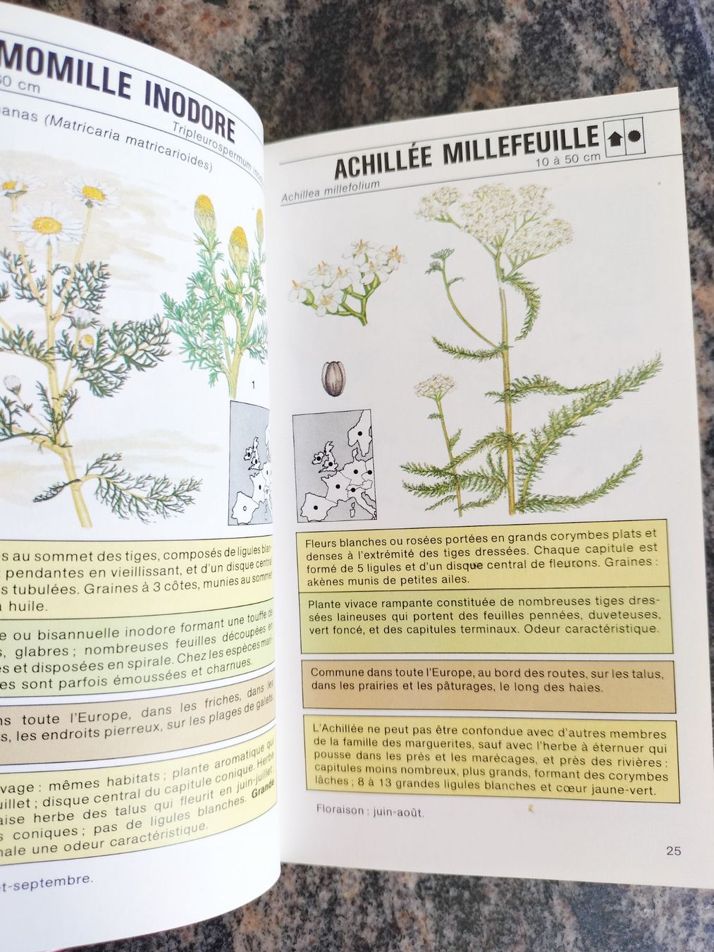 Bücher: Fleurs sauvages Gründ Nature - Poche – Gebraucht aus Cortaillod von rozinna 1