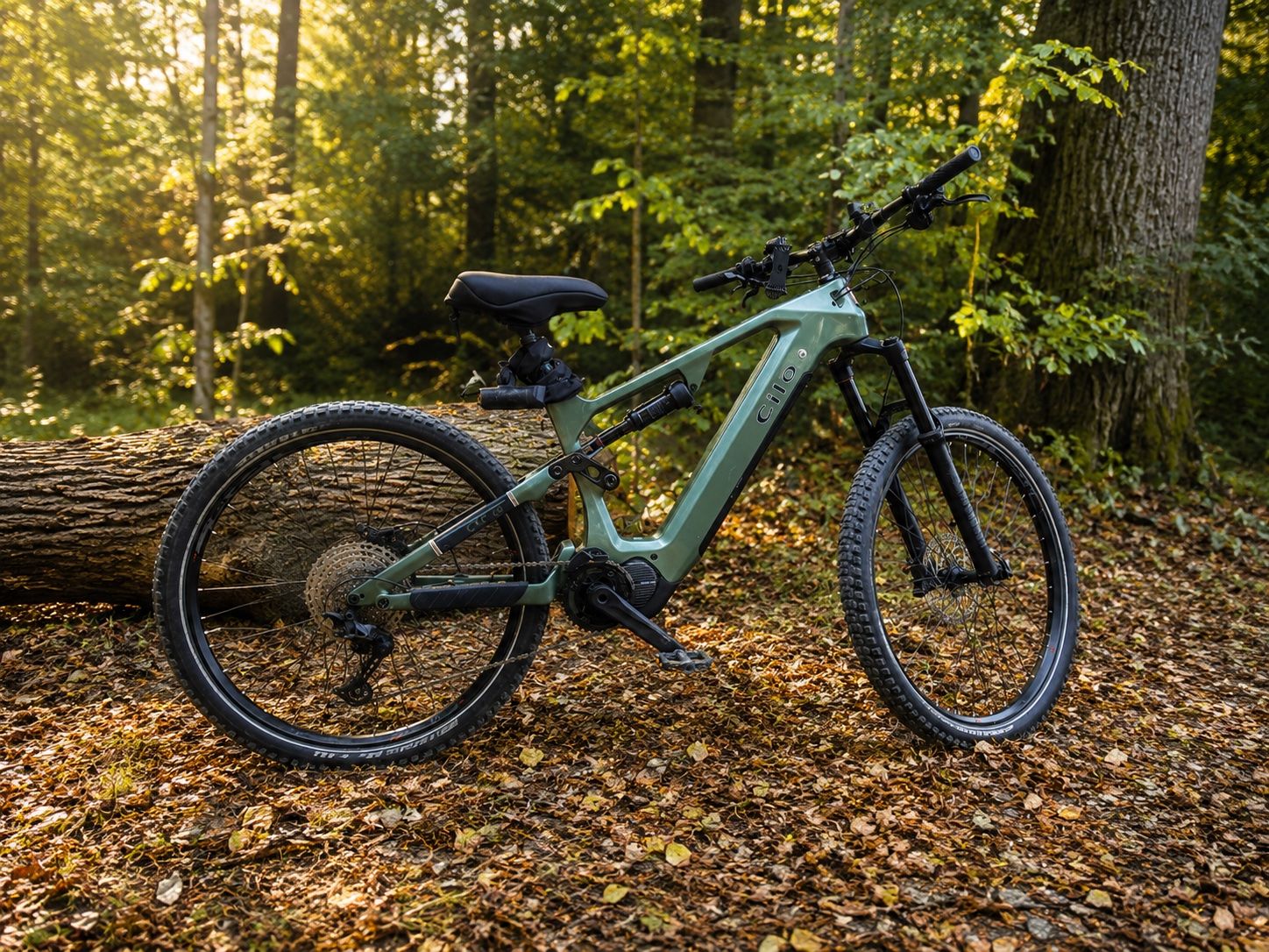 Cilo Biciclette: Cilo CXF 06 – Usato da Riniken venduto da Patrickjuhlin 3