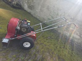 SOLO Kohler Magnum 8 Motor Laubbläser