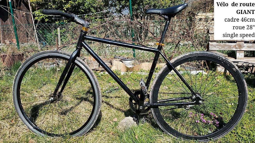 Velos: Vélo Single Speed – Gebraucht aus Genève von vel_r2wy