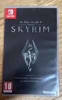 SKYRIM NINTENDO SWITCH