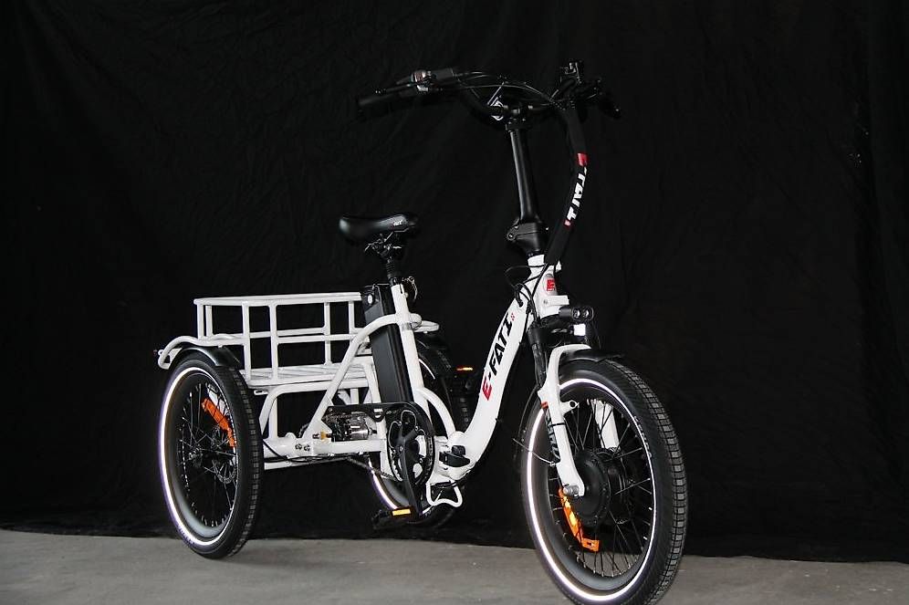 Veicoli elettrici: Elektro Dreirad Trickle – Usato da Lyssach venduto da Hoferbike