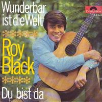 Black Roy - Wunderbar ist die Welt  (7")