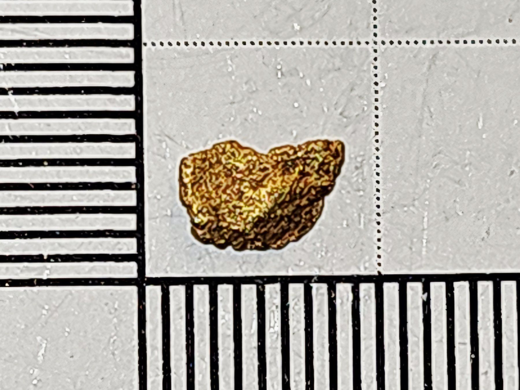 Metalli preziosi: Natürliches schweizer Gold Nugget – Nuovo e nell'imballaggio originale da Uerkheim venduto da Winwinner
