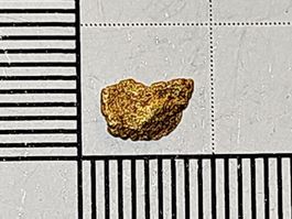 Natürliches schweizer Gold Nugget
