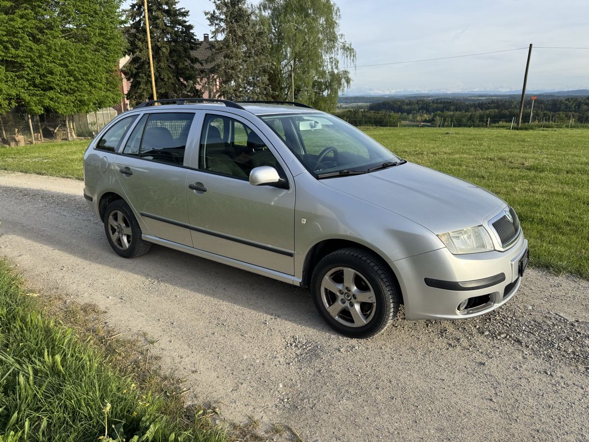 Skoda Automobili: Skoda Fabia Combi – Usato da Ossingen venduto da fiibo_ 4