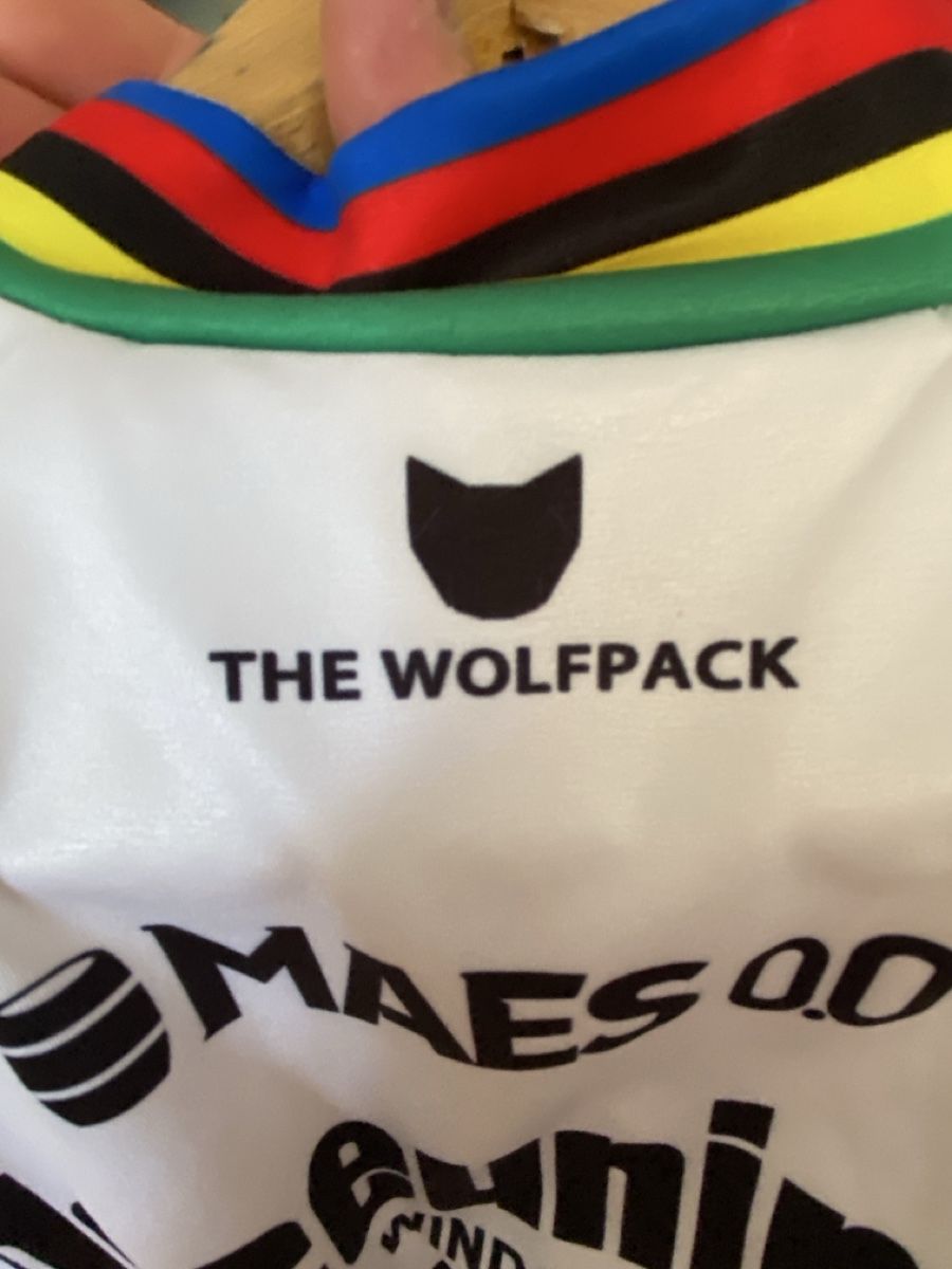 Canottiere & Pantaloni: Maillot velo cyclisme champion monde uci alaphilippe – Usato da Lausanne venduto da marcs3441 7
