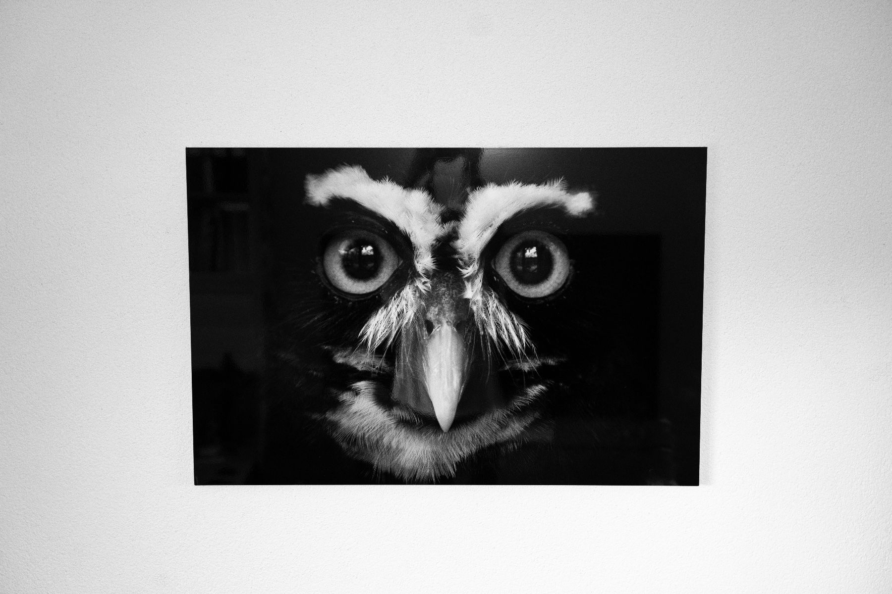Poster & Bilder: Wandbild 90cm x 60cm, Alu-Dibond – Neu und originalverpackt aus Dagmersellen von sim_zqh8