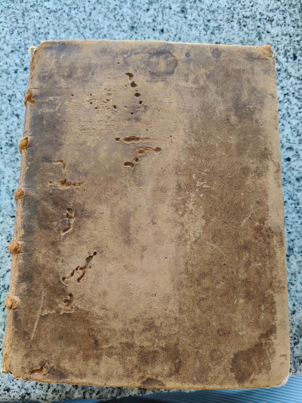 Livres: Antike Bibel: Weissen Festpredigen 1697 – D'occasion à Bremgarten b. Bern par thomae82 2