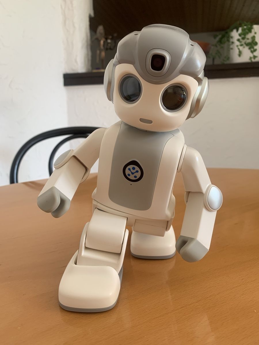 Tutte le macchine: Alpha Mini - Roboter – Usato da Sarmenstorf venduto da orbway 1