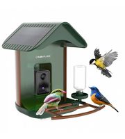 Vogelhaus Birdfeed 1 mit Kamera 