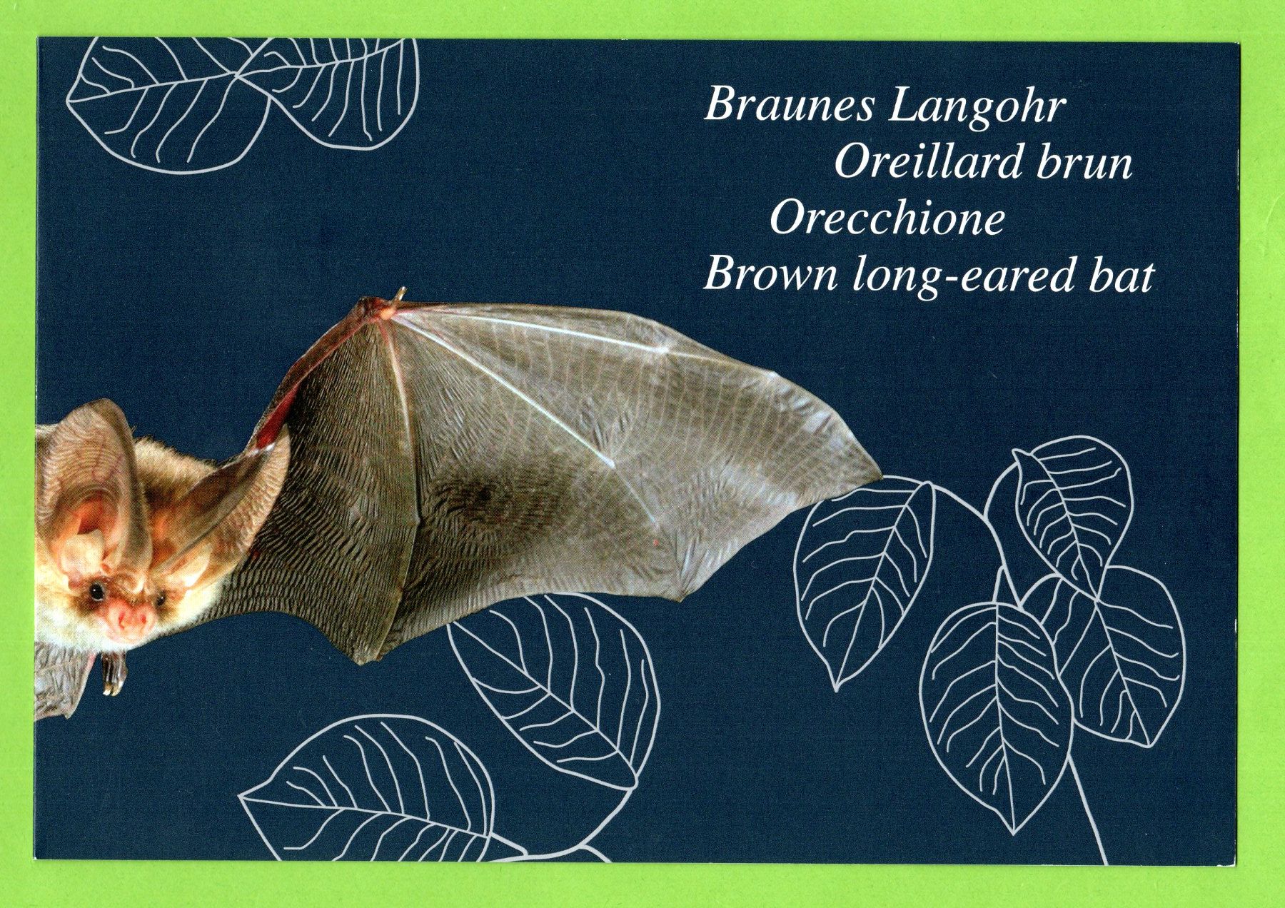 Alle Briefmarken: 2012 braunes Langohr Geschenkfolder 1. Tag LP – Gebraucht aus Stein am Rhein von Huehnerhund