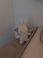 Miffi Hase