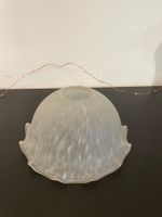 Globe en verre pour lampe