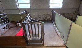 Schweinestall Einrichtung Abferkelbucht