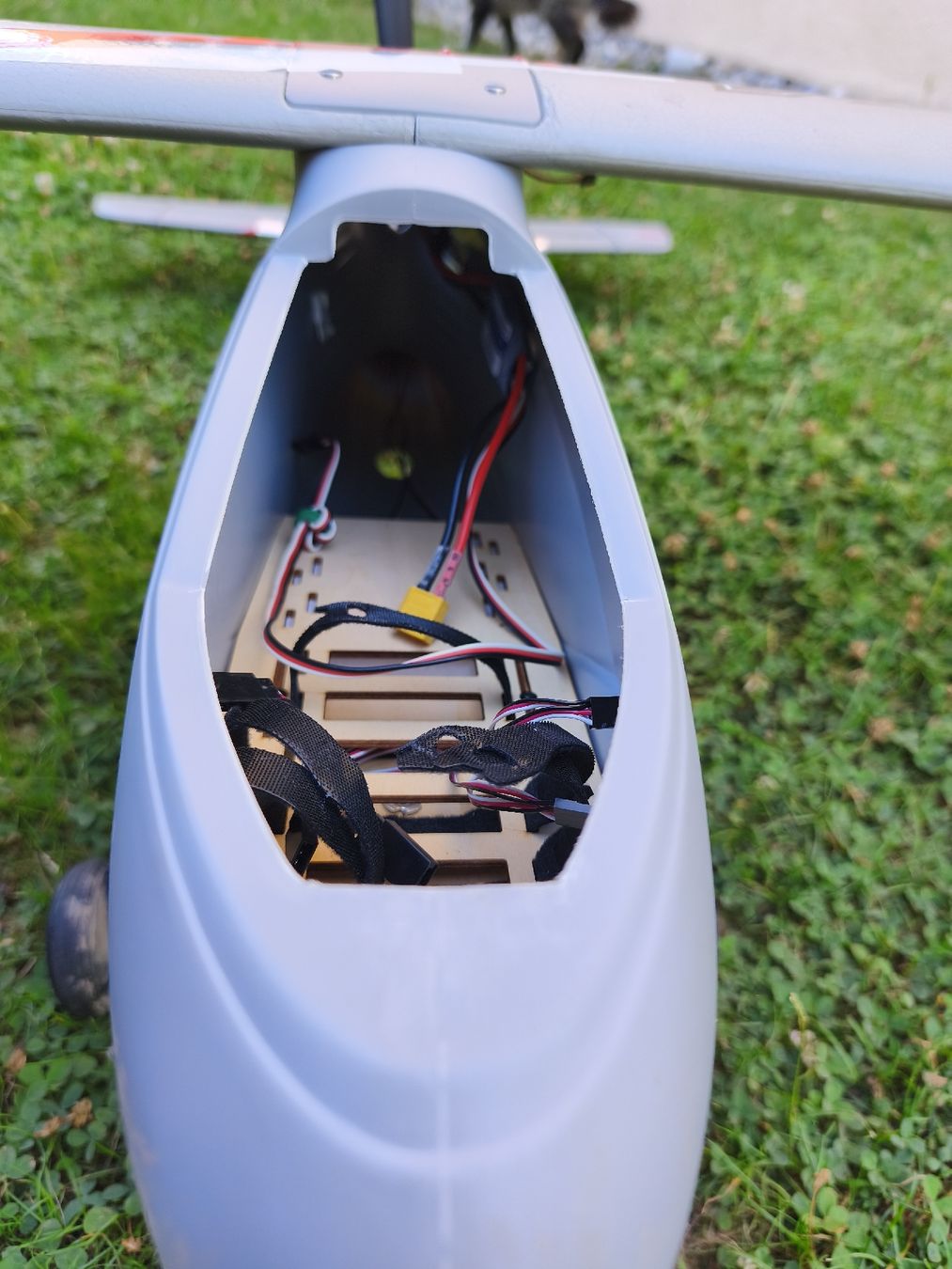 Modellismo RC: Avion radiocommandé Quanum – Usato da Bouveret venduto da Benj89 4