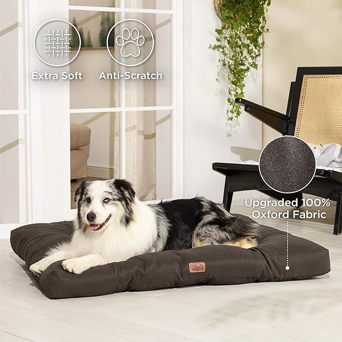 tales and tails hundefutter Probe Perfekt PferdTräglich – Tales & Tails