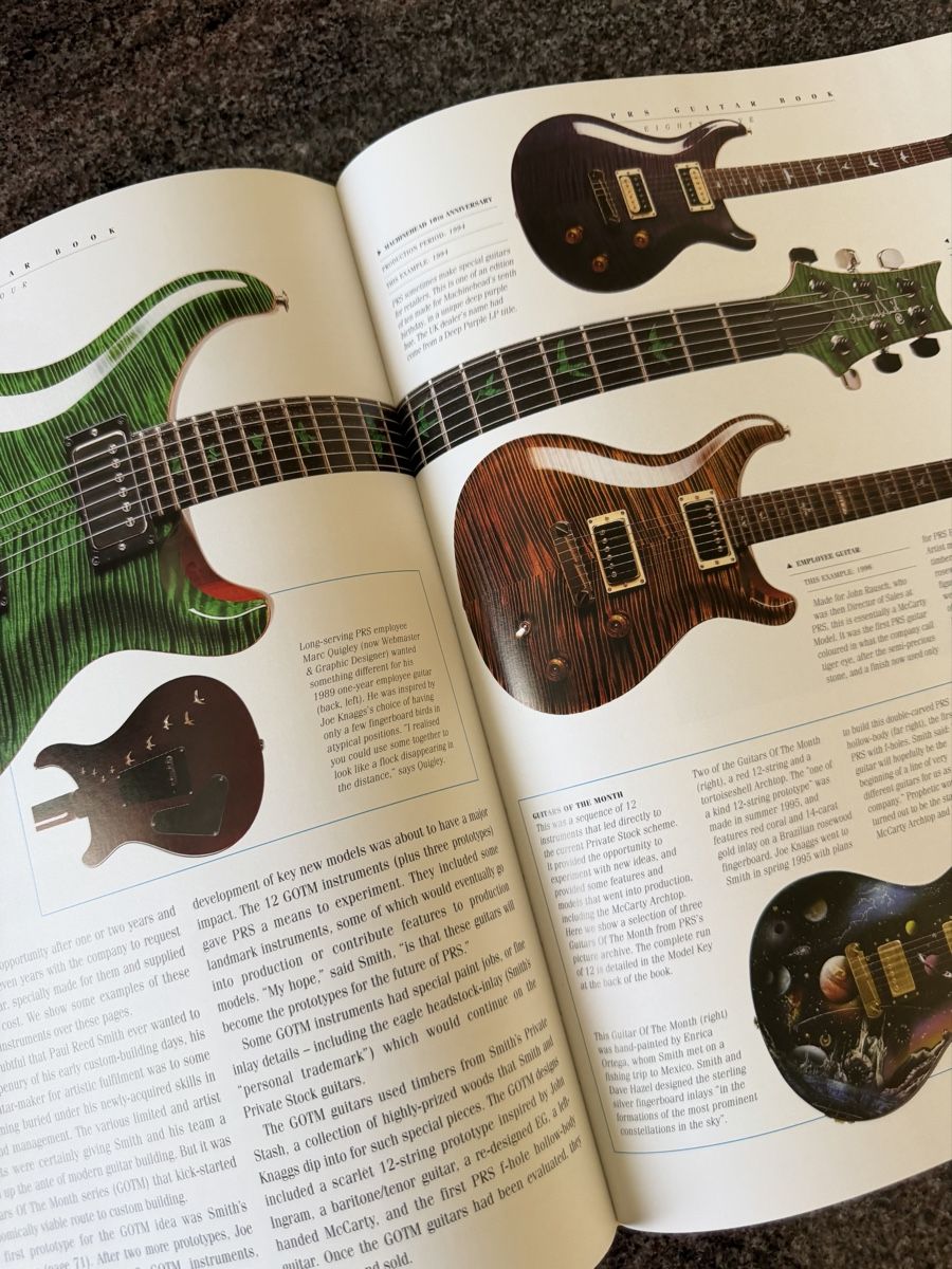 Libri: PRS Gitarren Buch – Usato da Olten venduto da Bluespapst 5
