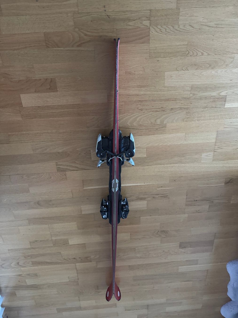 Sci: Ski 168 cm – Usato da Bern venduto da lav_8t9g 1