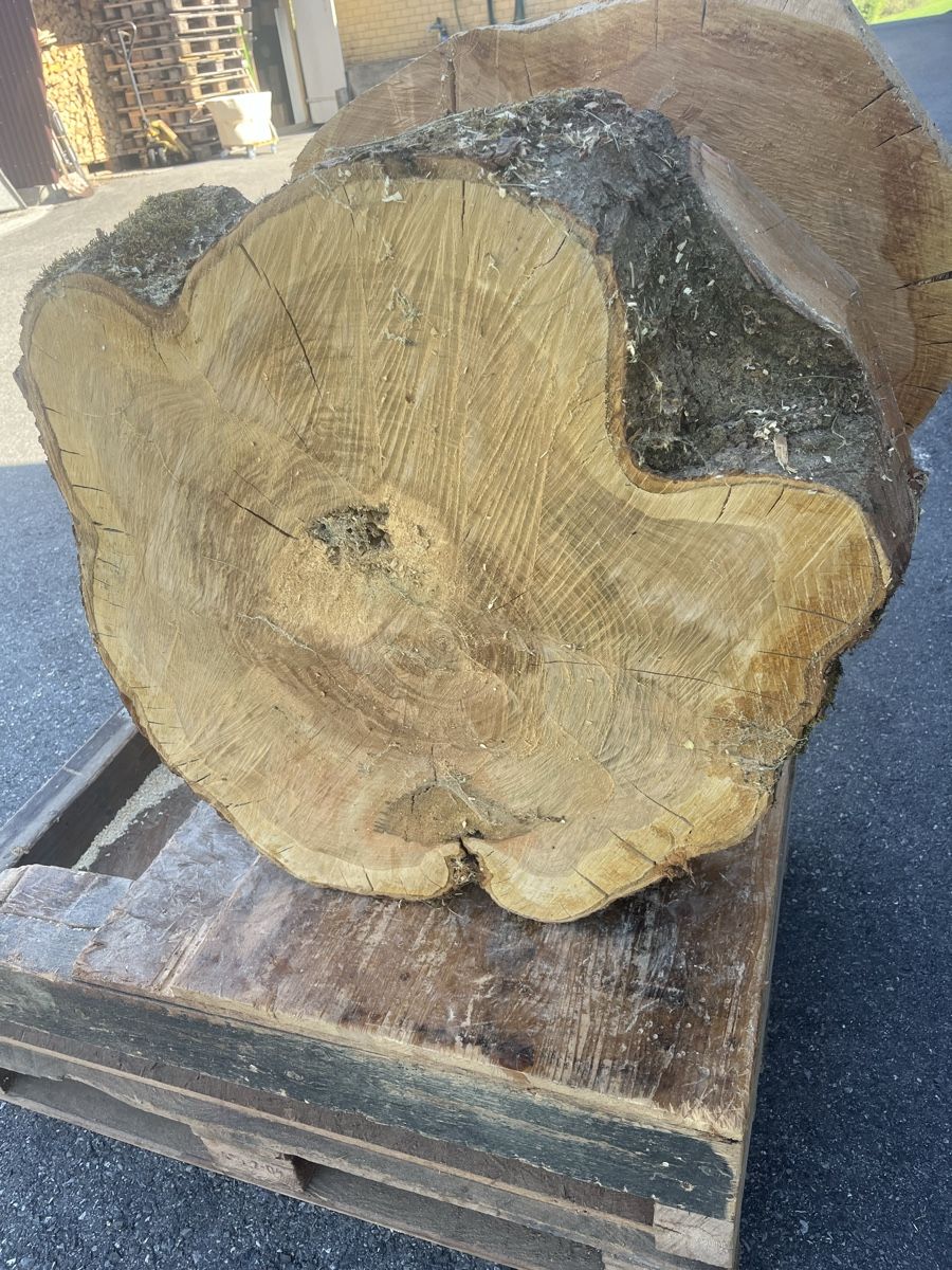 Holzartikel: Kirschbaum  baumscheibe – Neu und originalverpackt aus Weissbad von judd11 2