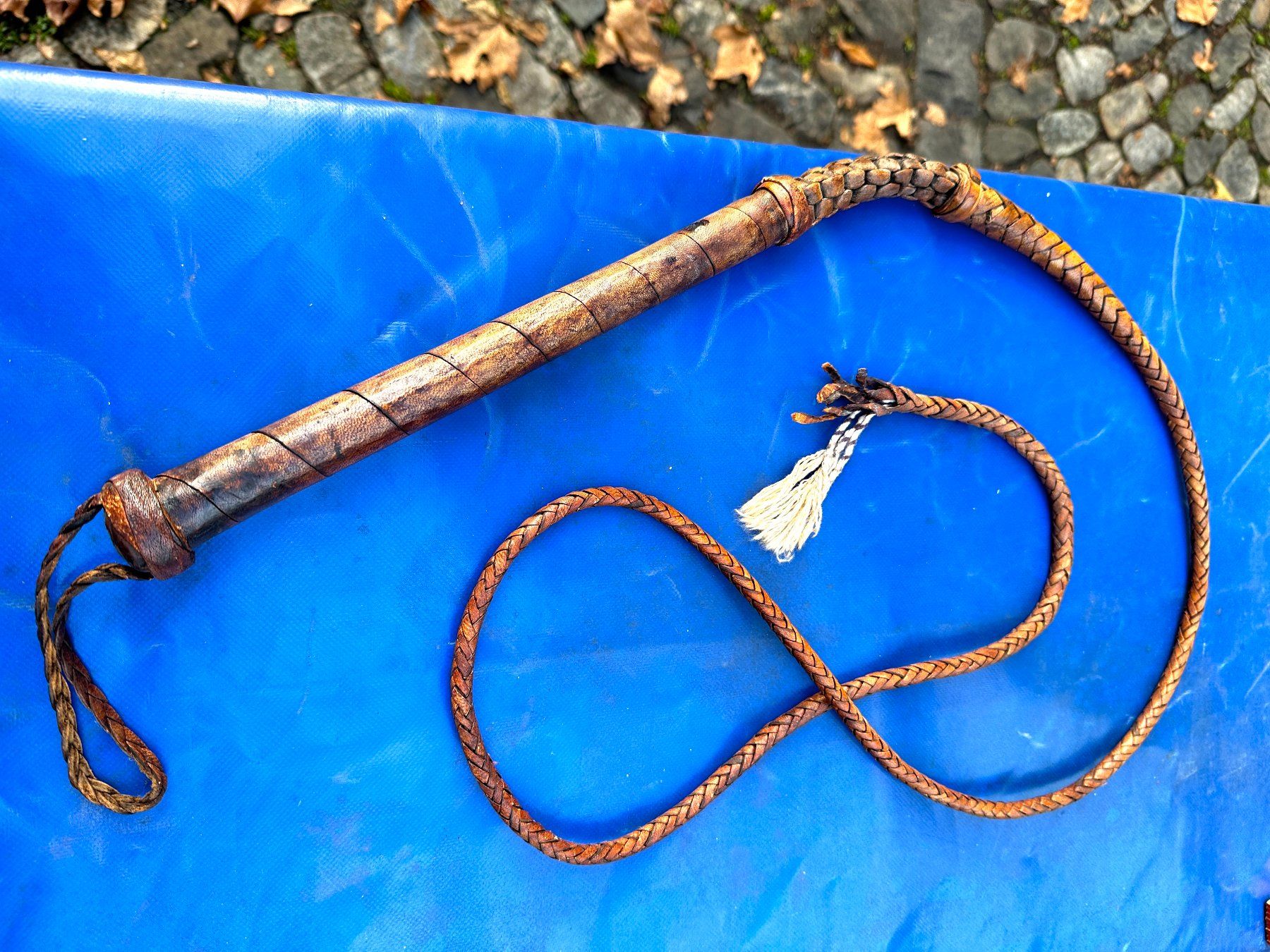 Sonstiges Tierzubehör: alte Lederpeitsche 200cm lang diä fitzt! – Gebraucht aus Zürich von  3