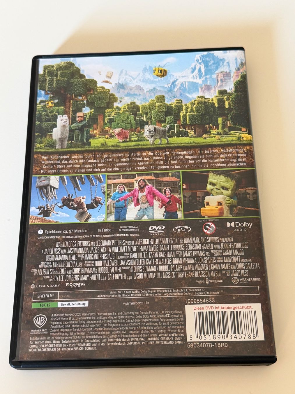 Tutti i DVDs: DVD Minecraft Film – Usato da Altstätten SG venduto da sheamus 1