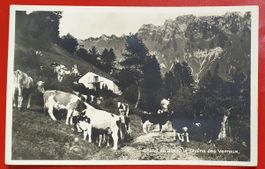 Chalet de Jor et la Chaîne des Verraux 1930