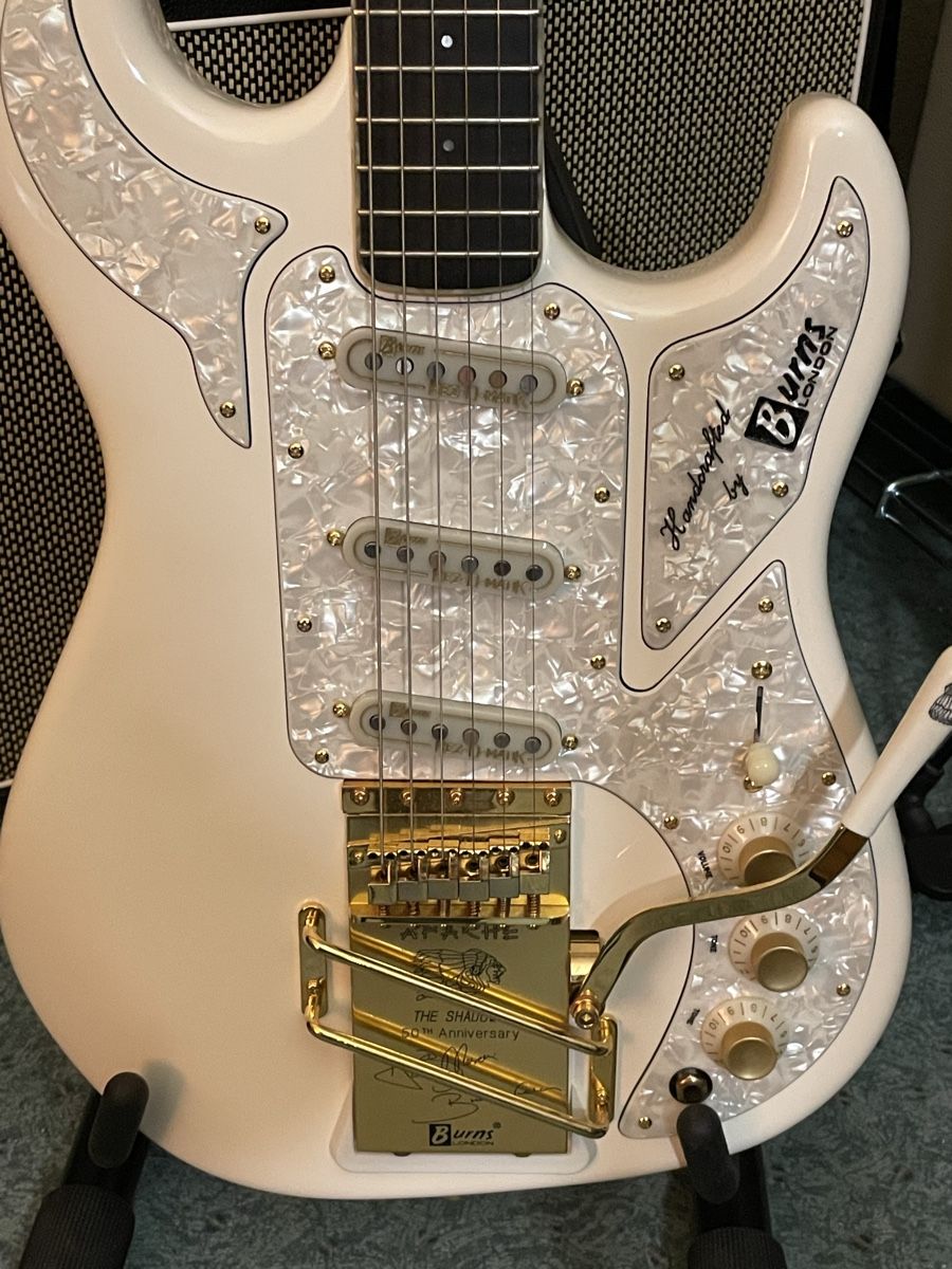 Strumenti musicali: Burns shadows 50i Anniversary – Usato da Oftringen venduto da Jradioman