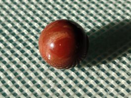 Bille 13mm en bois fossilisé pour bague Gilbert Albert