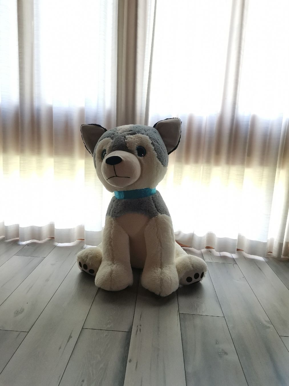 Giocattoli: Peluche chien husky  – Usato da La Chaux-de-Fonds venduto da Manouch74