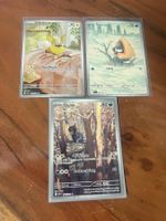 Pokemon FullArt (AR - Eng)