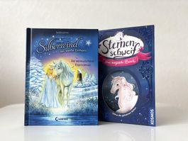 Einhorn Pferdegeschichte Kinderbuch Pferdebuch Leseanfänger