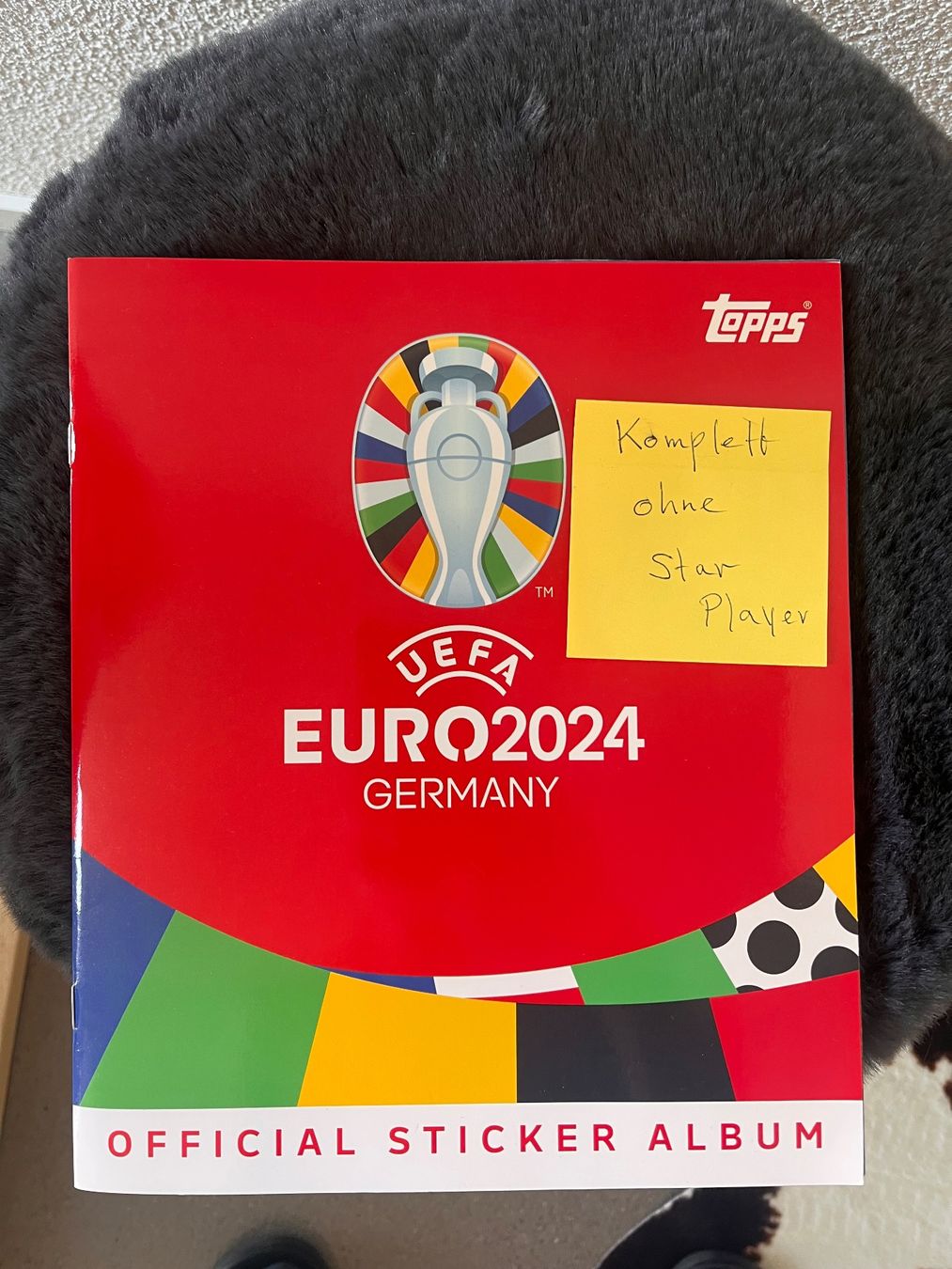 Panini Carte collezionabili: Riesige Panini Sammlung – Nuovo (secondo la descrizione) da Luzern venduto da Vansand 1