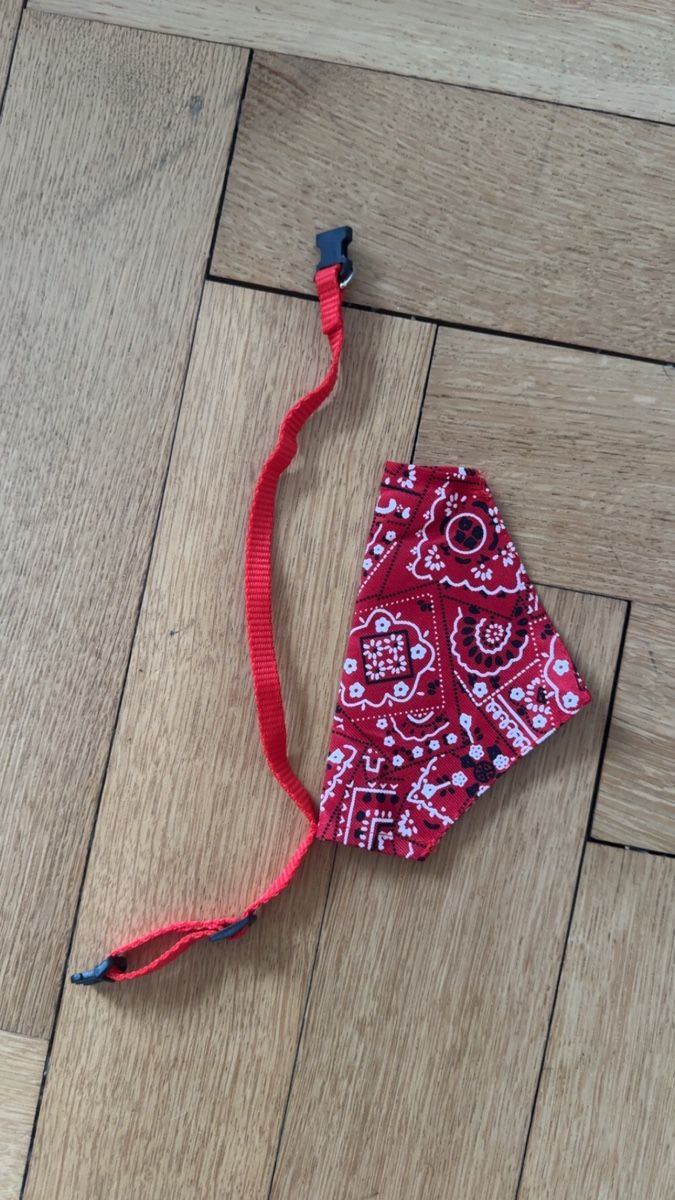 Leine & Halsband: Dog Collar / Bandana – Gebraucht aus Otelfingen von mar_sy7r 1