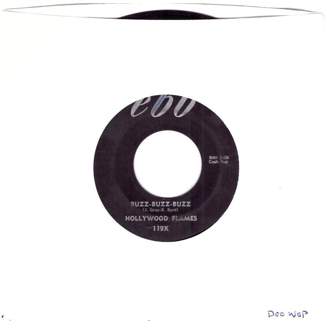 Dischi in vinile: HOLLYWOOD FLAMES – Usato da Bassersdorf venduto da house-of-vinyl