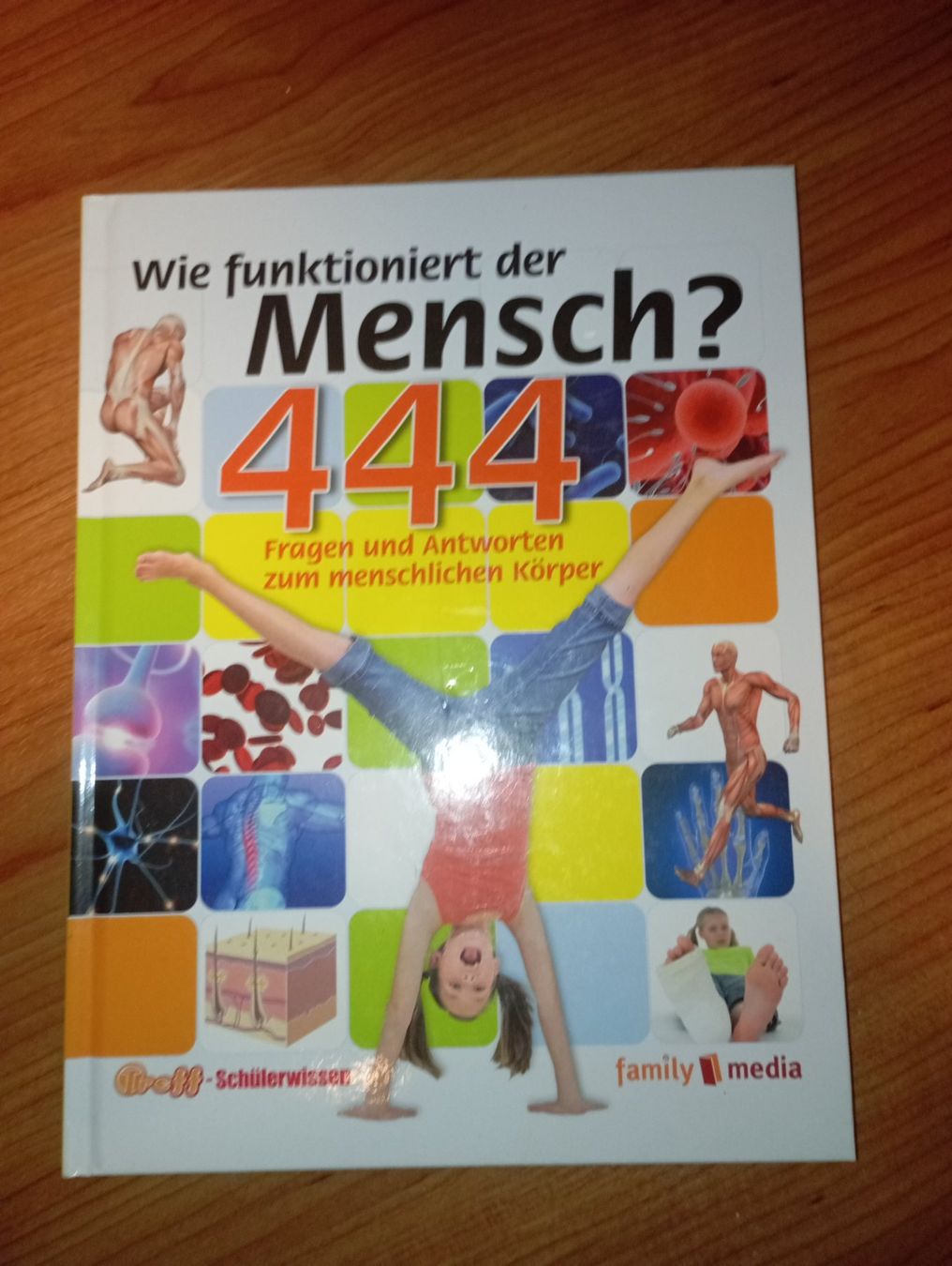 Libri: Wissens/Sachbücher Bundle – Usato da Schönenwerd venduto da pat_2c7m 2