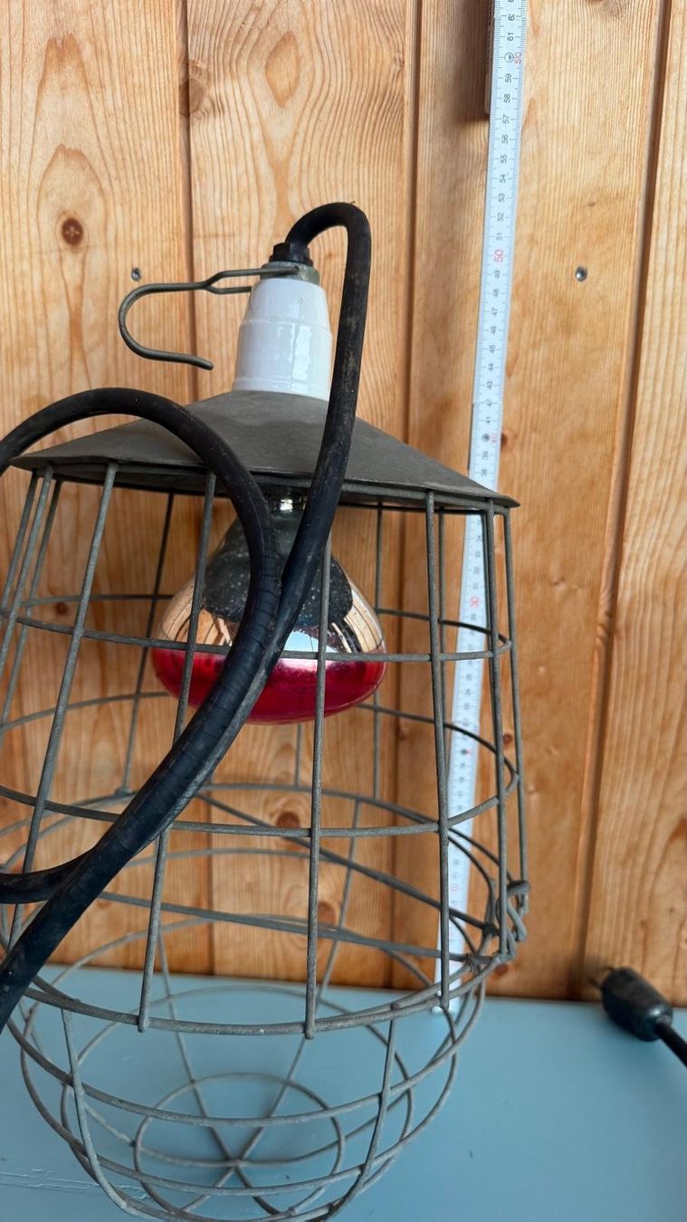 Lampen: Infrarotlampe mit Retro Schutzkorb – Gebraucht aus Krauchthal von SamsPuce 1