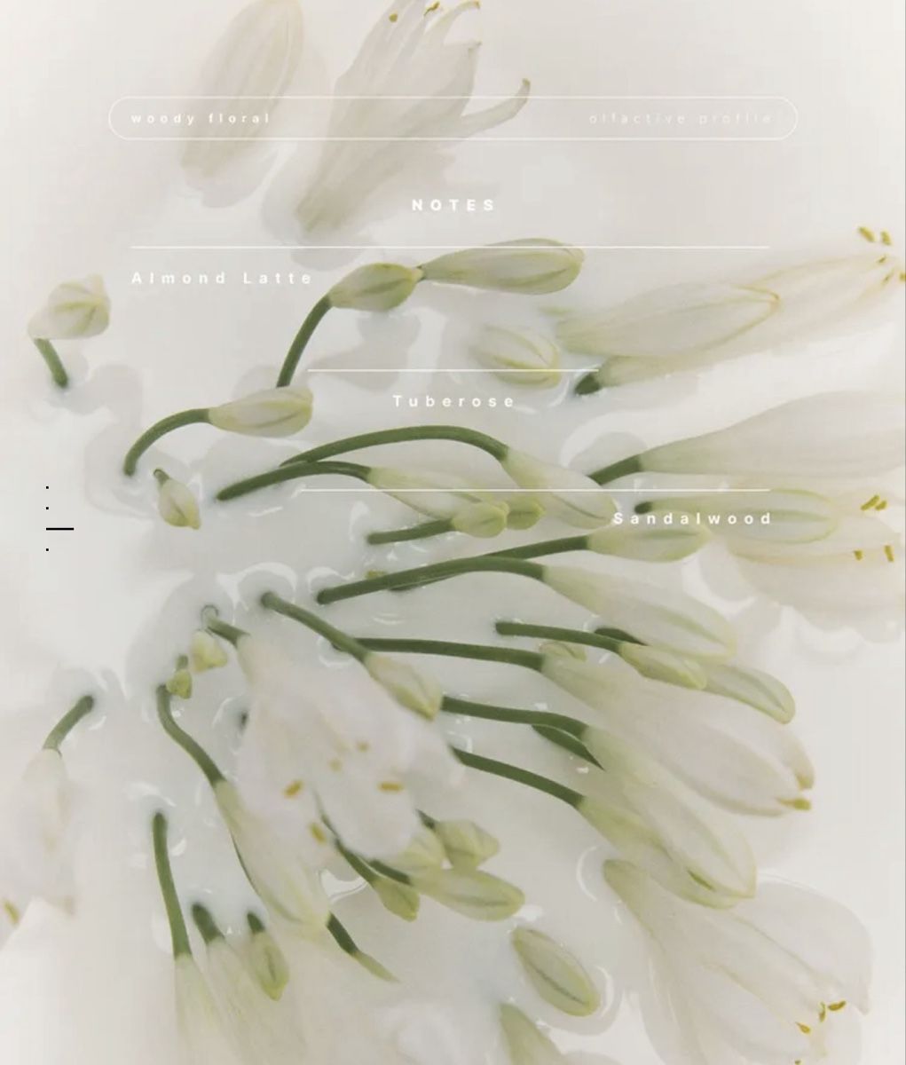 Zara Profumi & Eau de Toilette: ZARA Parfum HEAVENLY BLANC – Nuovo (secondo la descrizione) da Steffisburg venduto da ThymusVulgaris 2