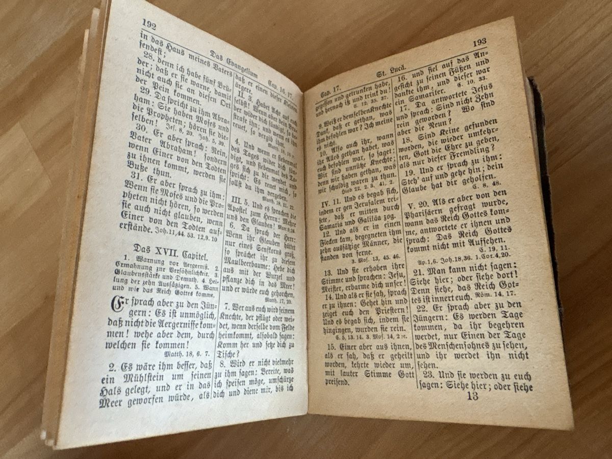 Libri: altes Buch / neues Testament von 1899 – Usato da Rümlang venduto da euqinom16 2