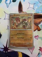 Pokemon Groudon Pokeball 049/131 PRE