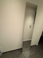 Spiegel - praktisch neu (170 x 37)