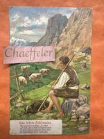 Antike Ansichtskarten aus Österreich 1908. Das letzte Edelwe