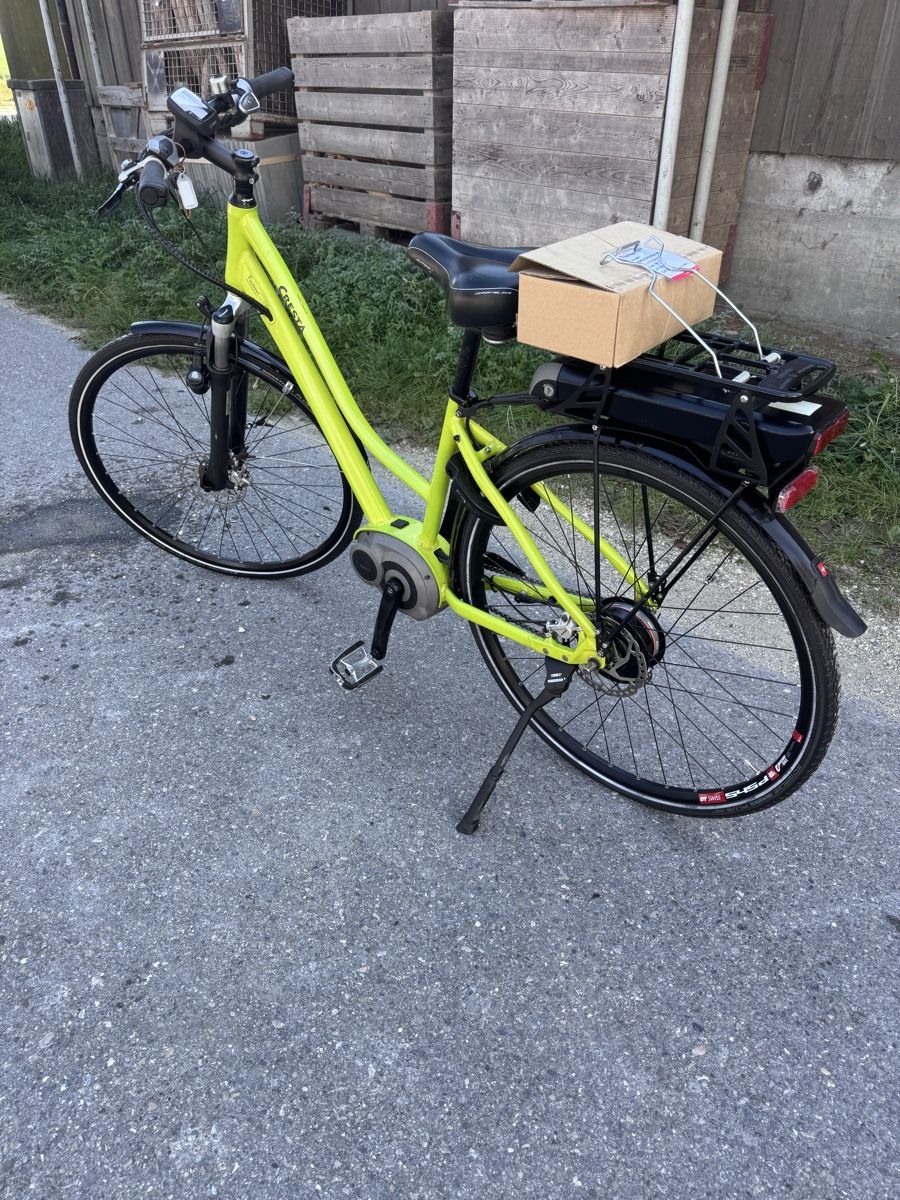 Cresta Biciclette: E-Bike Cresta Bosch Motor – Usato da Detligen venduto da sbk_6qj6 1