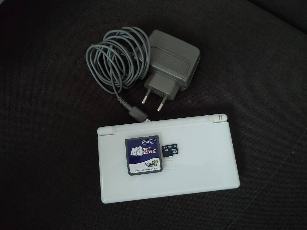 Nintendo Console: Nintendo DS lite – Usato da Zürich venduto da Orkageta