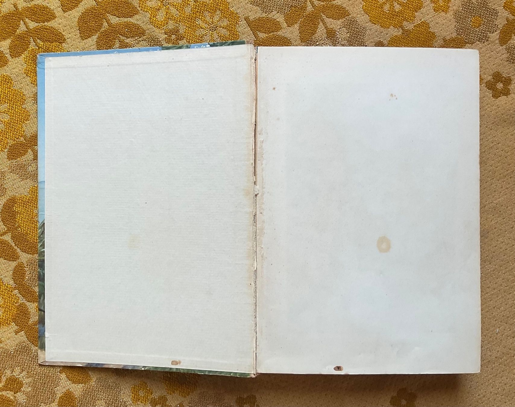 Libri: In 80 Tagen um die Erde – Usato da Endingen venduto da nathan05 2
