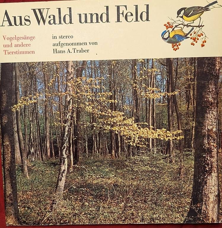 Schallplatten: Langspielplatte – Gebraucht aus Hergiswil NW von Bastaag