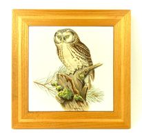 Wand - Keramikfliese « Raufusskauz » mit Holzrahmen -21x21cm
