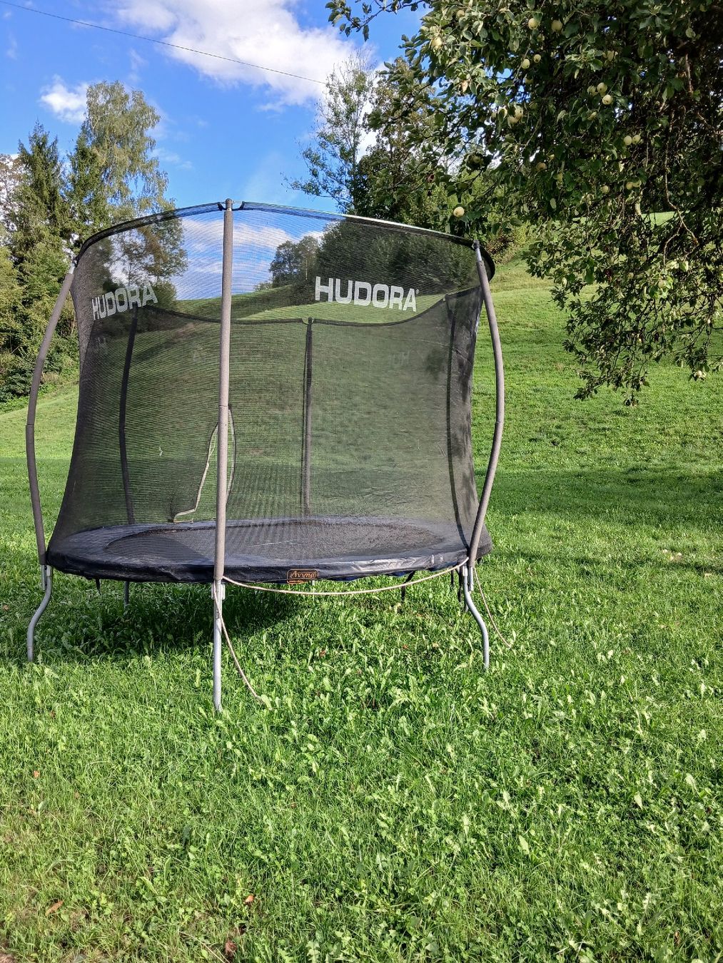 Hudora Trampoline: Trampolim – Gebraucht aus Mosnang von othmar 1